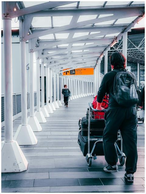 Travelers with luggage trolleys navigating through