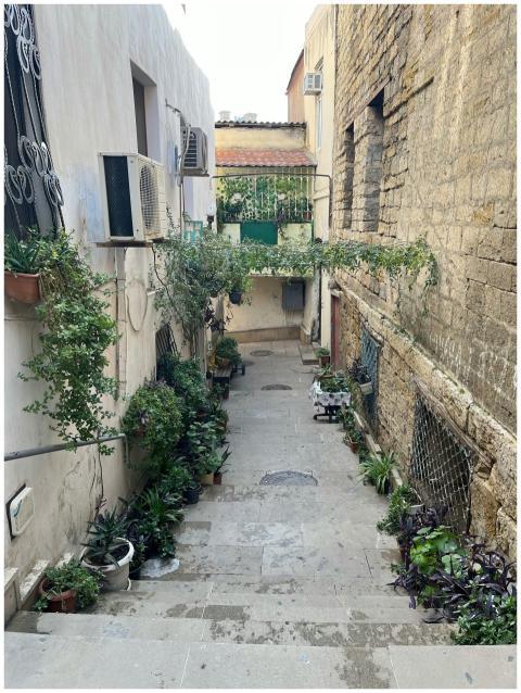 Charming Narrow Alleyway Potted