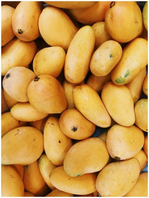 A vibrant pile of fresh yellow mangoes, highlighti