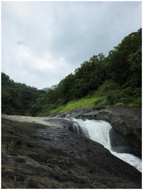 Water falls between greenery.