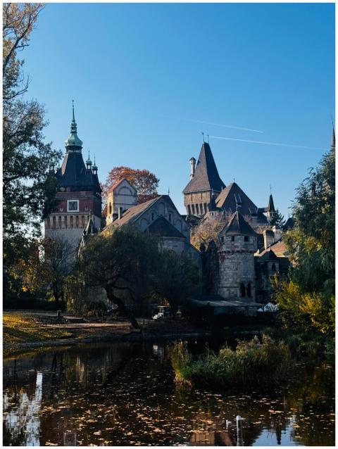 Gothic-style castle by a reflective pond surrounde