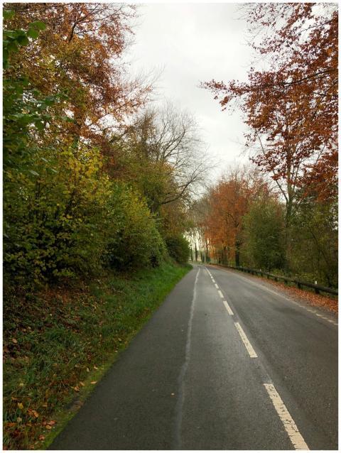 A peaceful rural road in Northern France surrounde