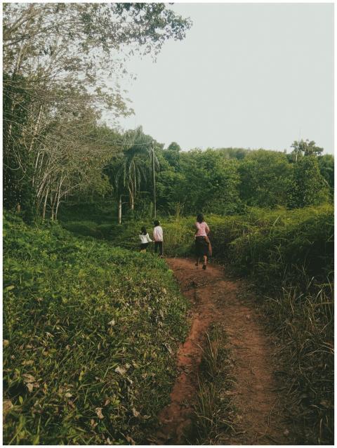 Three people strolling a winding path through a vi