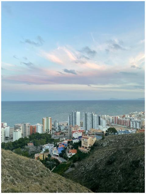 Aerial view of a coastal city with skyscrapers fac