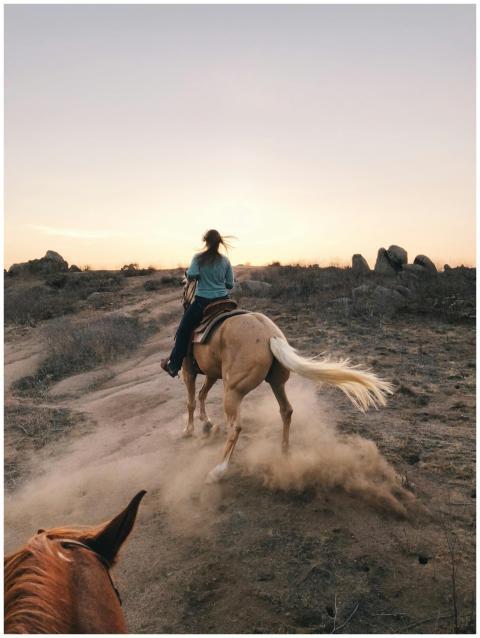 Capture the thrill of horseback riding through dus