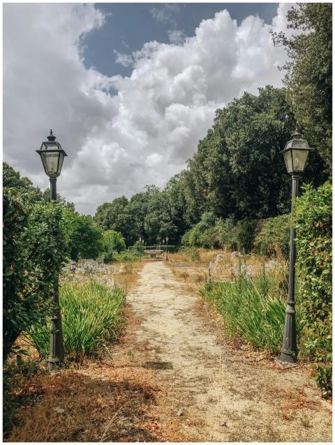 Explore a serene pathway in a lush Roman countrysi