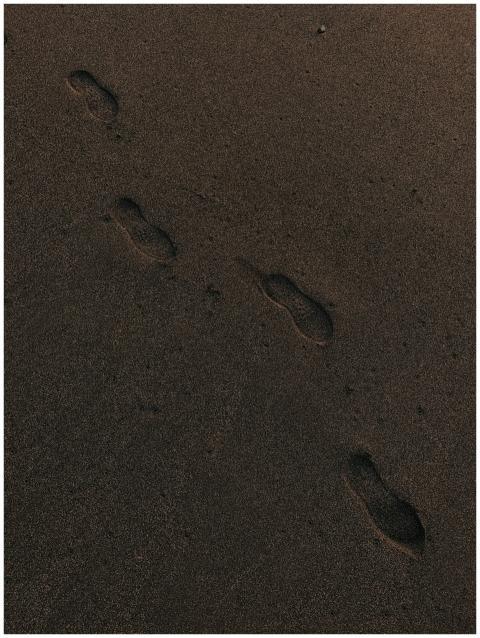Footprints trailing through dark brown sand captur