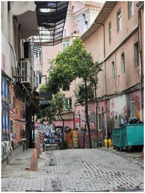 Colorful street art and graffiti adorn a narrow al