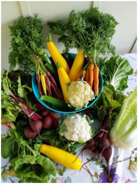 Vibrant assortment of fresh vegetables in a bowl,