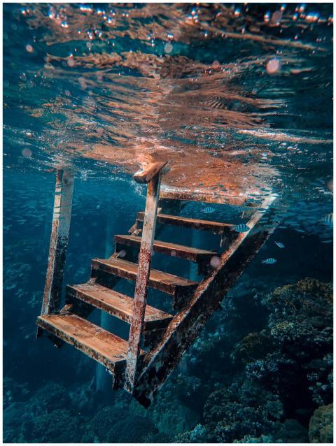An underwater shot of a rusty metal staircase surr