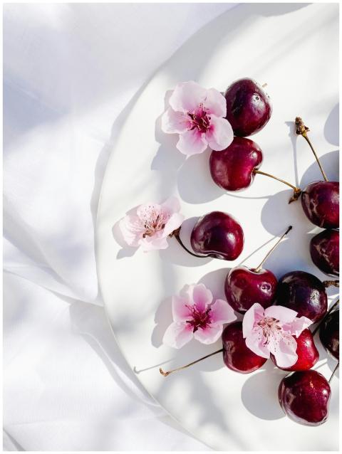 Top view of ripe cherries and delicate pink blosso