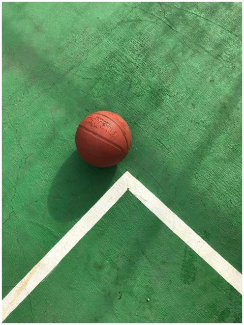 A lone basketball rests on green court under sunli