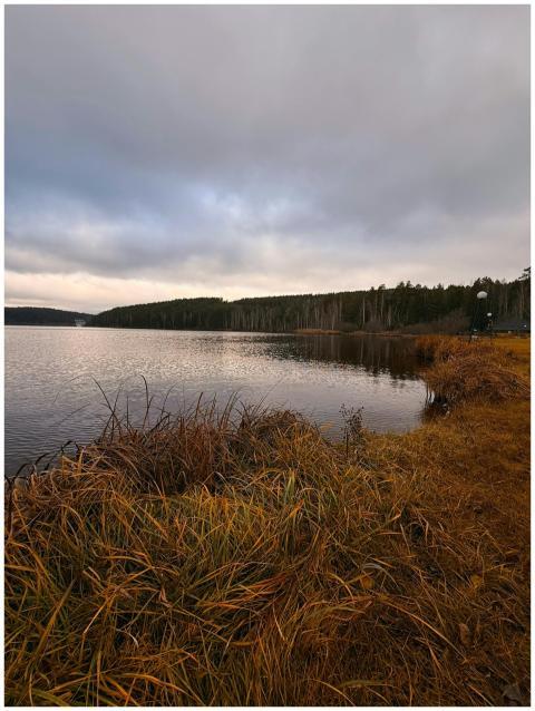 Peaceful lakeside scene with autumn foliage under
