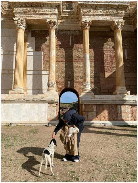 A serene scene of a person petting a dog in front