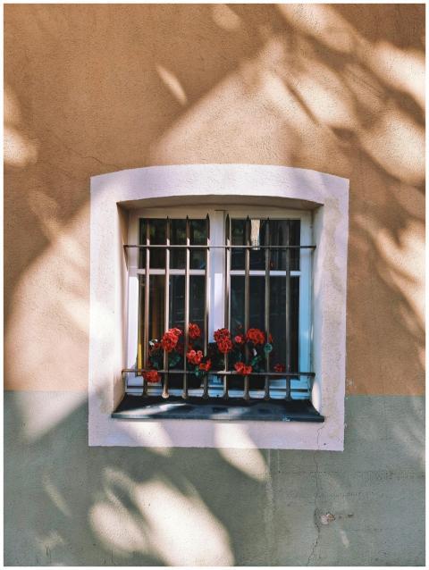 Sunlit window with red flowers in Valbonne, Proven