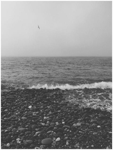 Serene black and white view of the rocky Batumi co