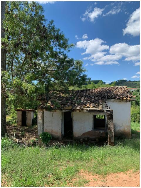 Old abandoned house amidst greenery, clear blue sk