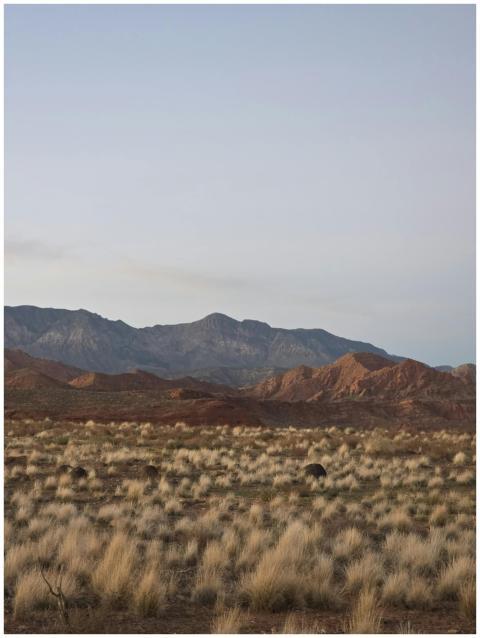 Free stock photo of canyons