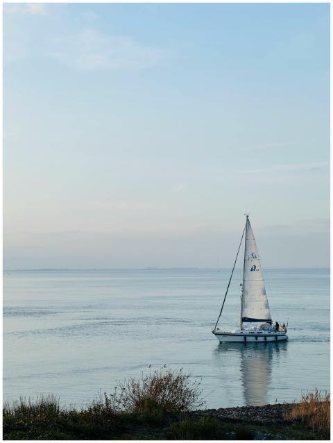 Serene Sailboat Tranquil Ocean