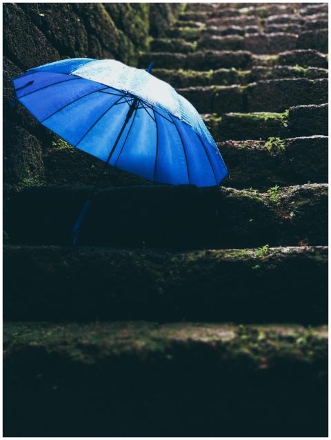 Vibrant blue umbrella rests on wet, moss-covered s
