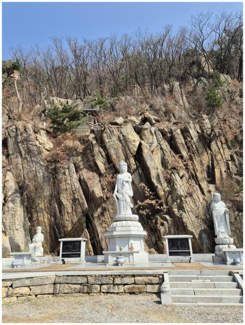 Serene Buddha Statues Rocky