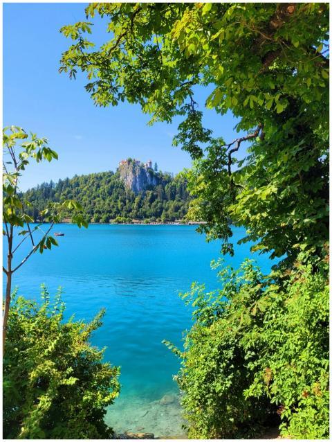 Breathtaking Lake Bled Castle
