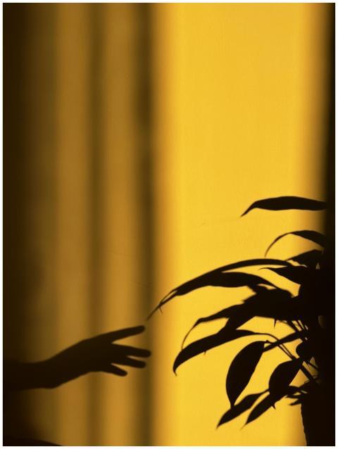 Artistic shadow play of a hand reaching towards a