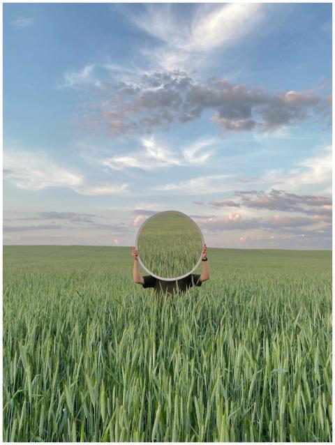 A mirror reflecting the vast, serene wheat field u