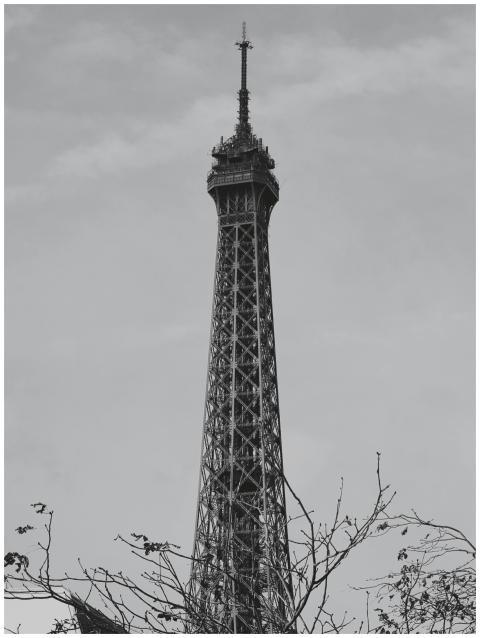 Free stock photo of architecture, black and white,