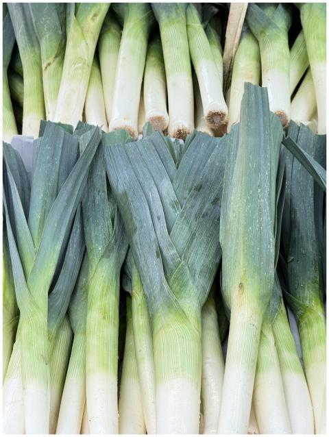 Free stock photo of autumn harvest, bio, biology