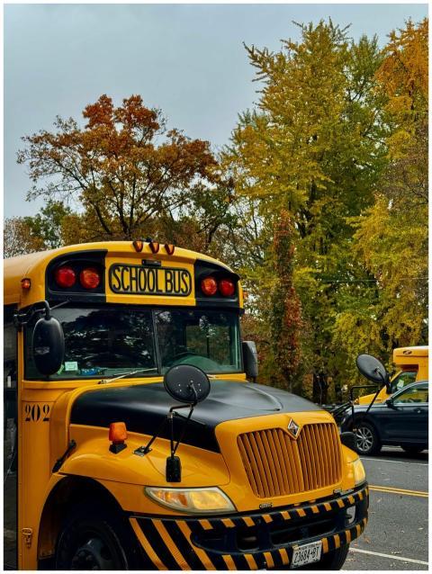 Yellow School Bus Autumn
