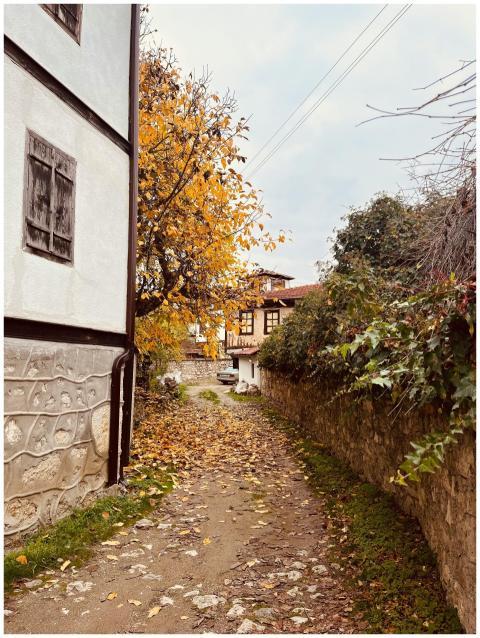 Idyllic village pathway in autumn, featuring color