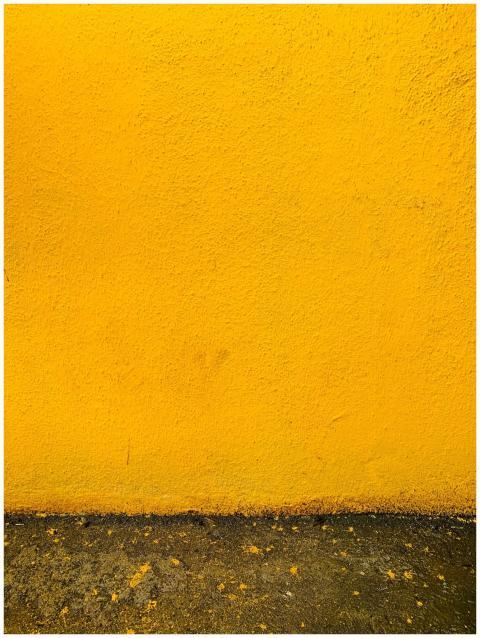 Vibrant yellow stucco wall with a rough texture an