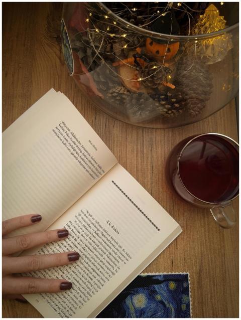 Cozy Autumn Reading Scene