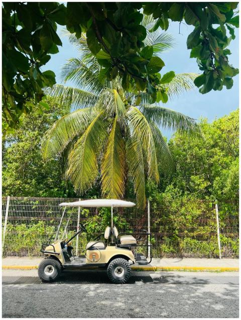 Golf cart parked under a palm tree on a sunny stre