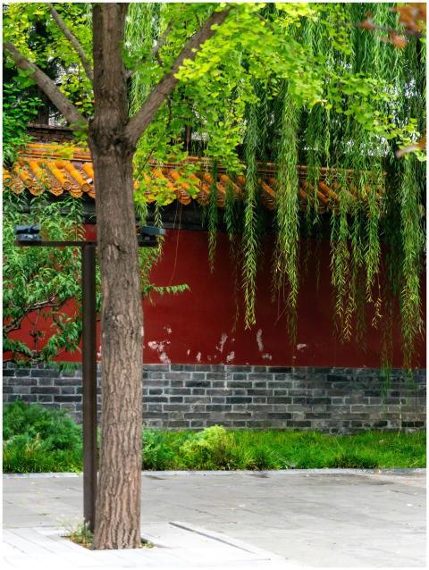 A peaceful courtyard with trees and a traditional