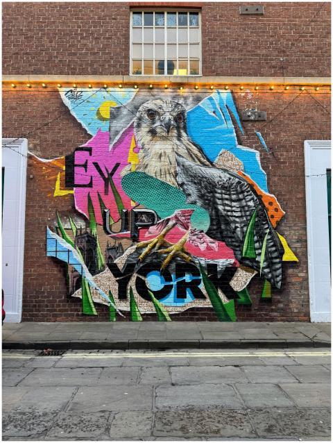 Free stock photo of street art