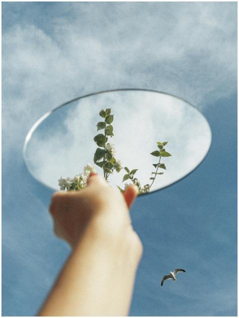 Hand holding a mirror reflecting sky and leaves, s