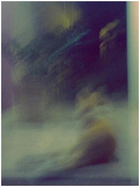 A blurred artistic image of an animal in motion, r
