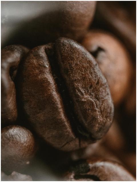 Detailed macro shot of roasted coffee beans with r