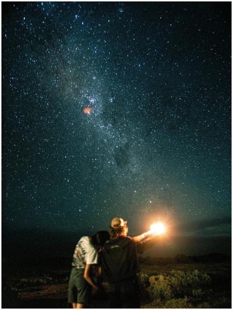 A couple admires the Milky Way on a starry night i