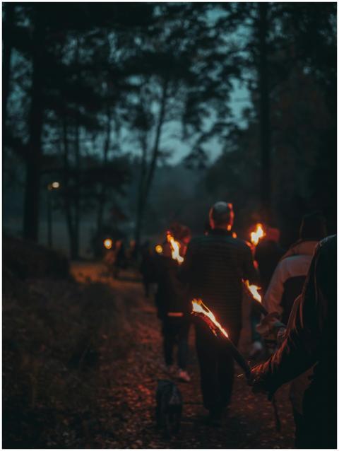 Group walking with torches through a dark forest a