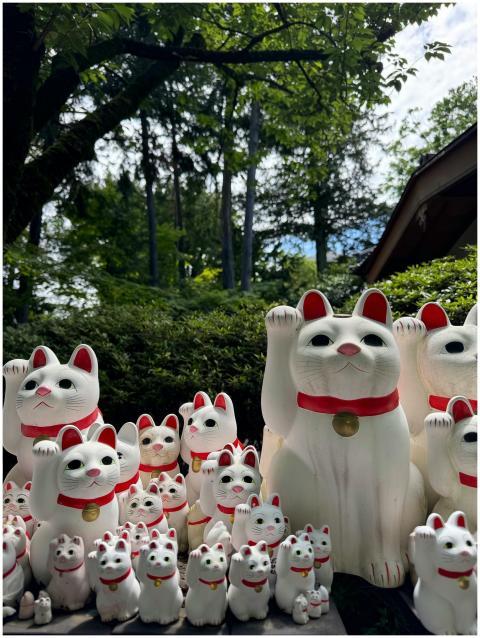 A collection of Maneki Neko figurines in a tranqui