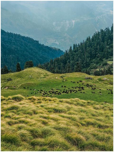 A serene mountain landscape showcasing lush green