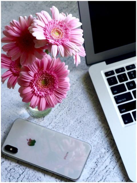 A modern workspace featuring pink gerbera flowers,