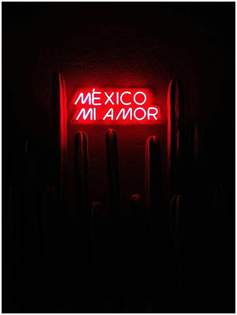 Vibrant red neon sign glowing against a dark wall