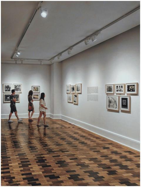 Visitors exploring a modern art exhibition in a Br