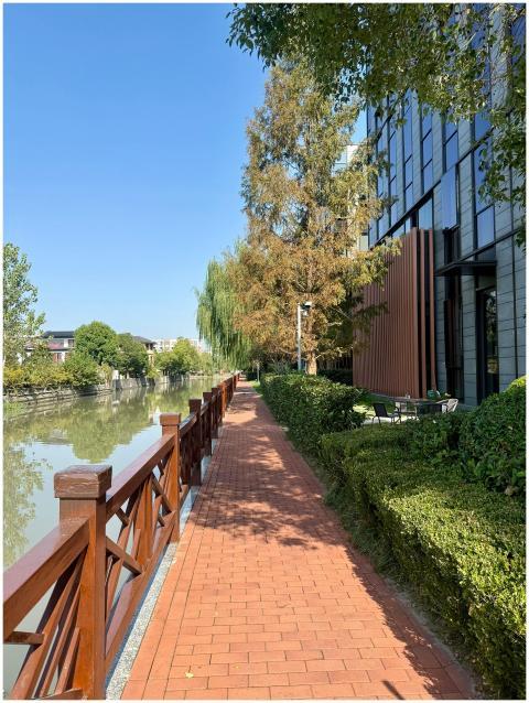 Scenic Riverside Walkway Shanghai