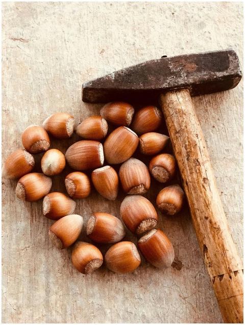 Rustic Hammer Hazelnuts Wooden