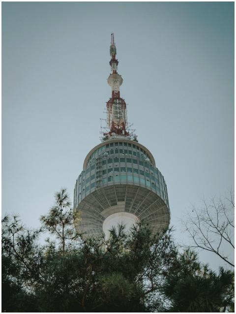 View of the Namsan Seoul Tower surrounded by trees